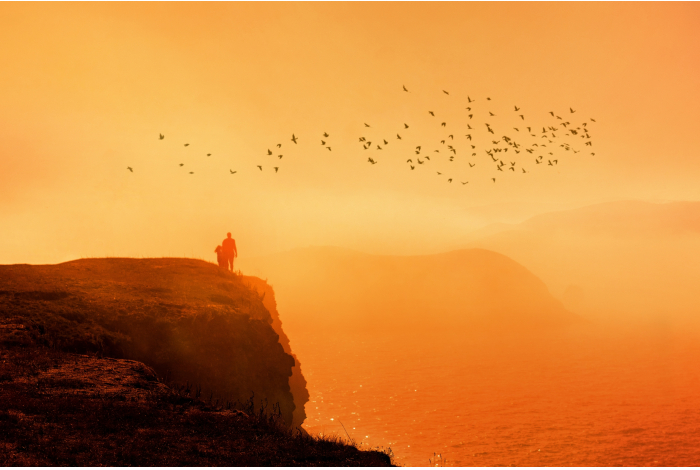 vitaly-otinov-we7fhyz-4P4-unsplash